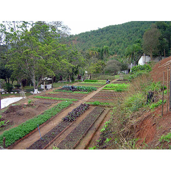 UNIDADE 15 - MAIRIPORÃ - INTERIOR DE SP - 6