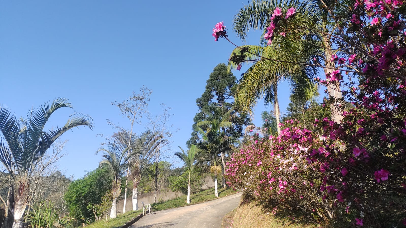 UNIDADE 4 CAMPO LIMPO PAULISTA SP Viver Limpo Tratamentos